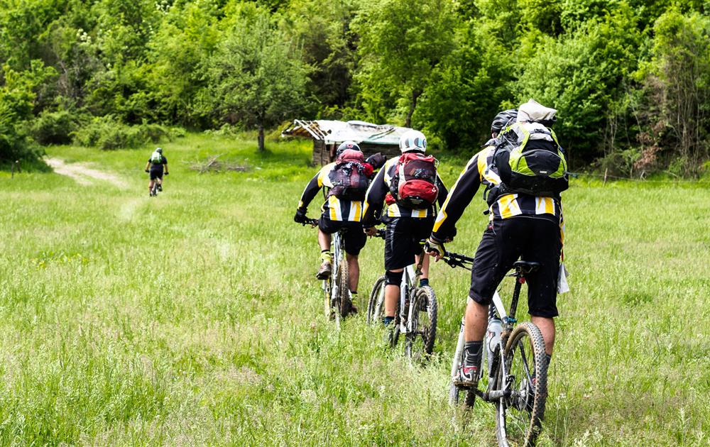Camping Le Pré des Laveuses