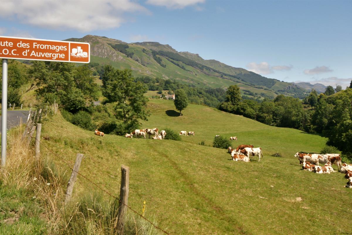 Camping Le Pré des Laveuses