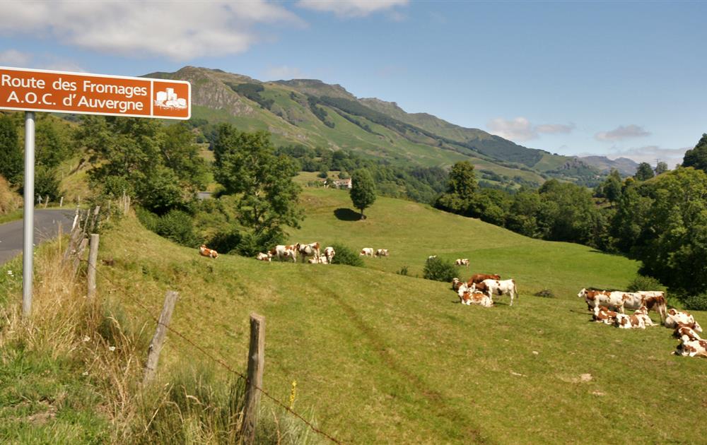 Camping Le Pré des Laveuses
