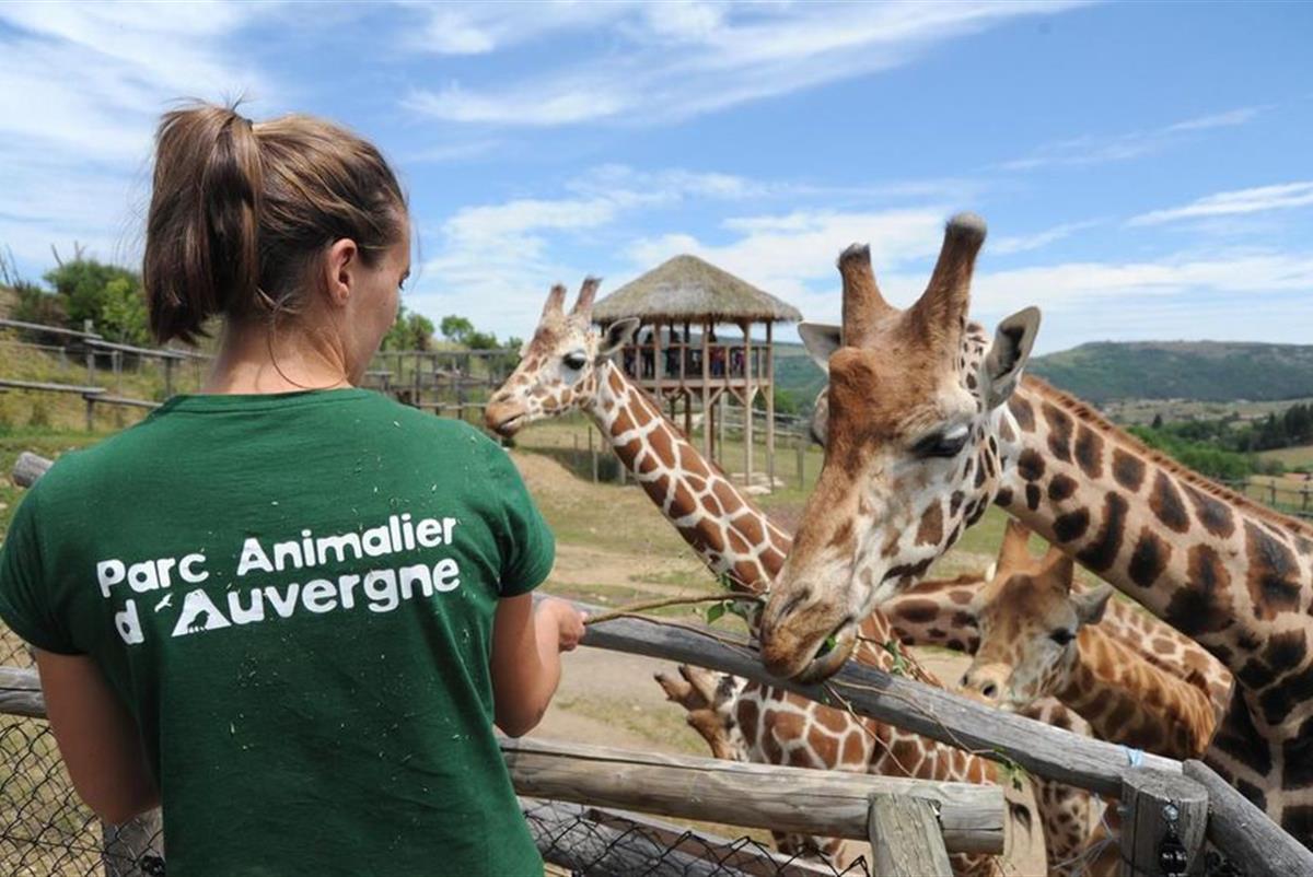 Le Parc Animalier d'Auvergne