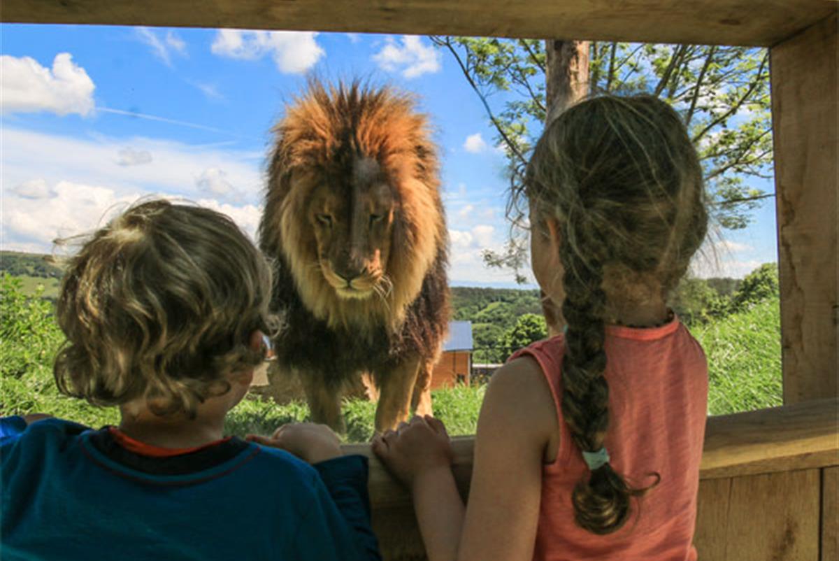 Le Parc Animalier d'Auvergne